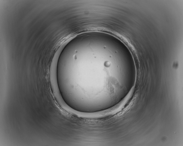 X0000098220897200805011231