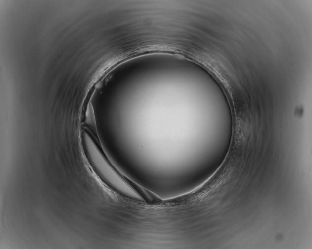 X0000098220898200805011231