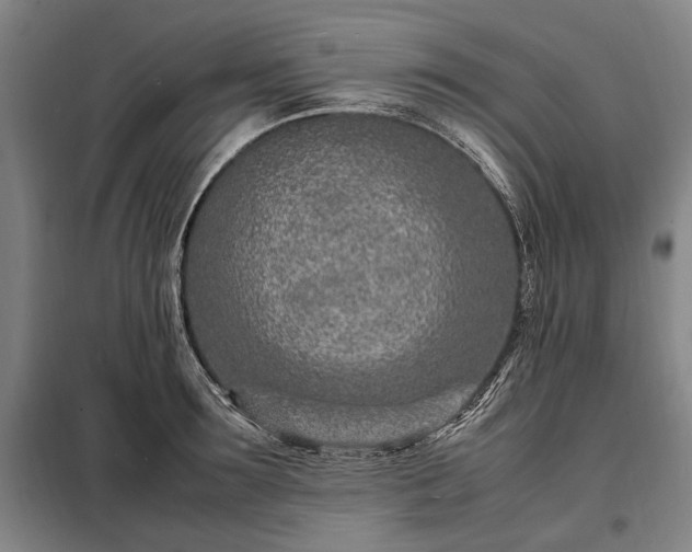 X0000098220899200805011231