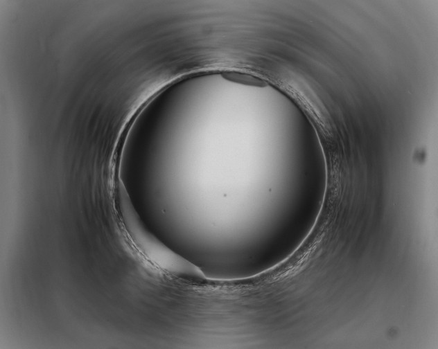 X0000098220900200805011231