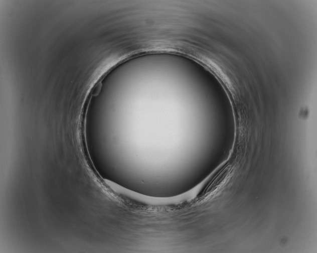 X0000098220901200805011231