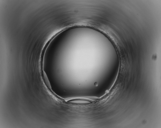 X0000098220902200805011231