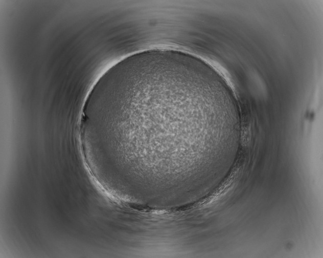 X0000098220903200805011231