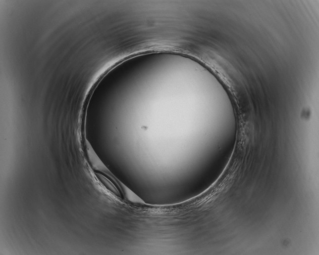 X0000098220904200805011231