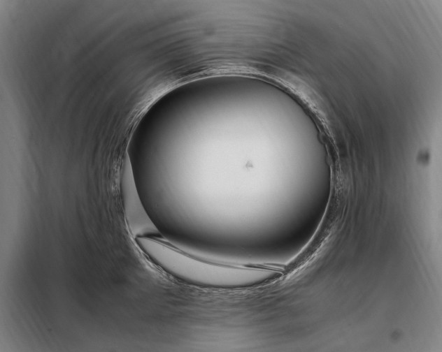 X0000098220905200805011231