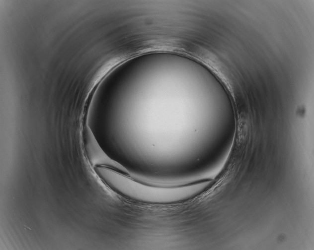 X0000098220906200805011231