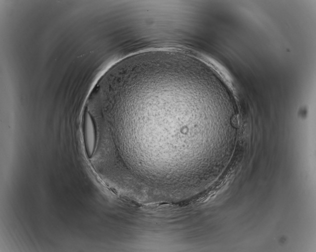 X0000098220907200805011231