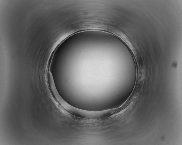 X0000098220909200805011231