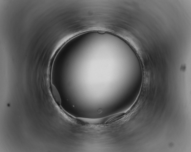 X0000098220910200805011231