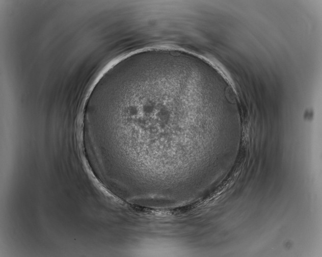 X0000098220911200805011231