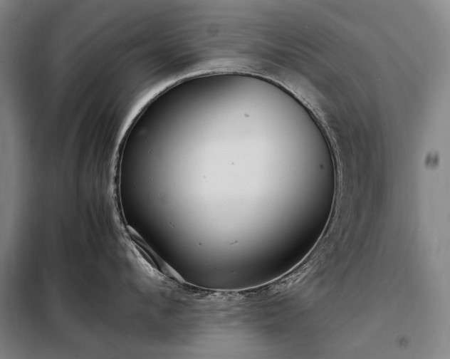 X0000098220912200805011231