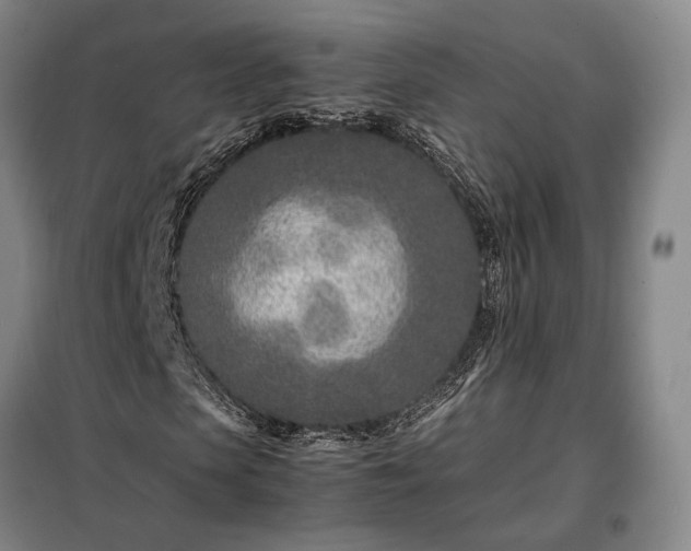 X0000098220913200805011230