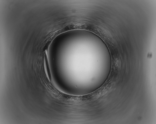 X0000098220914200805011230