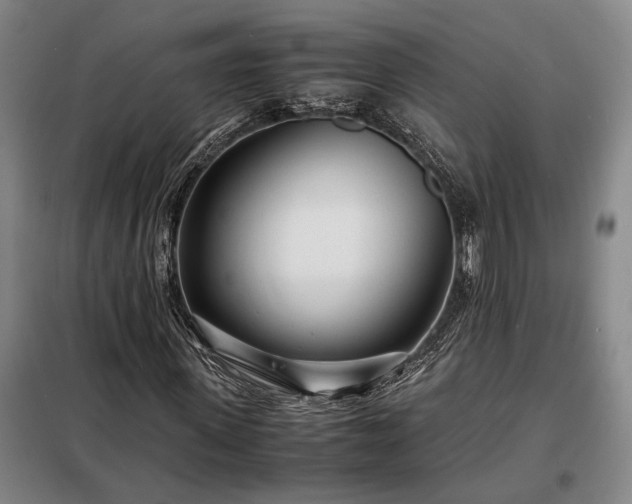 X0000098220915200805011230