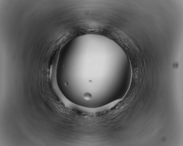 X0000098220916200805011230