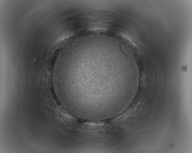 X0000098220917200805011230