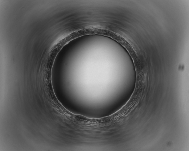 X0000098220919200805011230