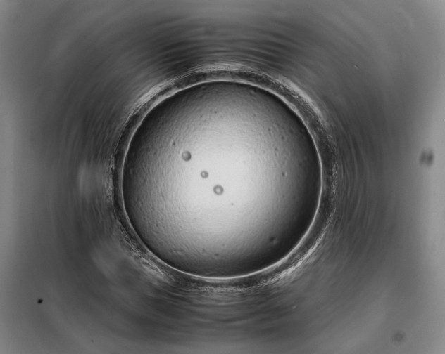 X0000098220921200805011230