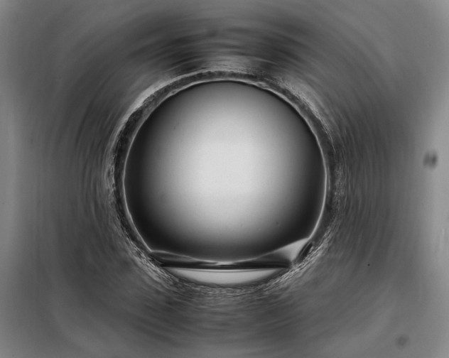 X0000098220923200805011230