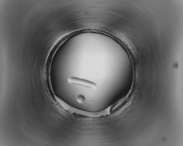 X0000098220924200805011230