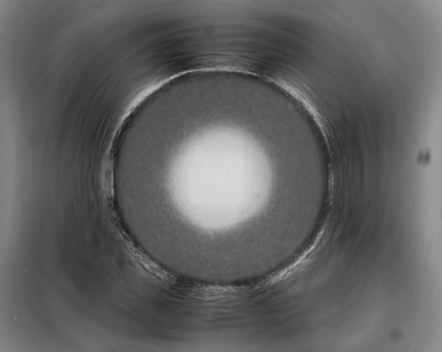 X0000098220925200805011230