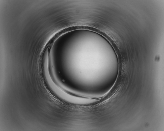 X0000098220926200805011230