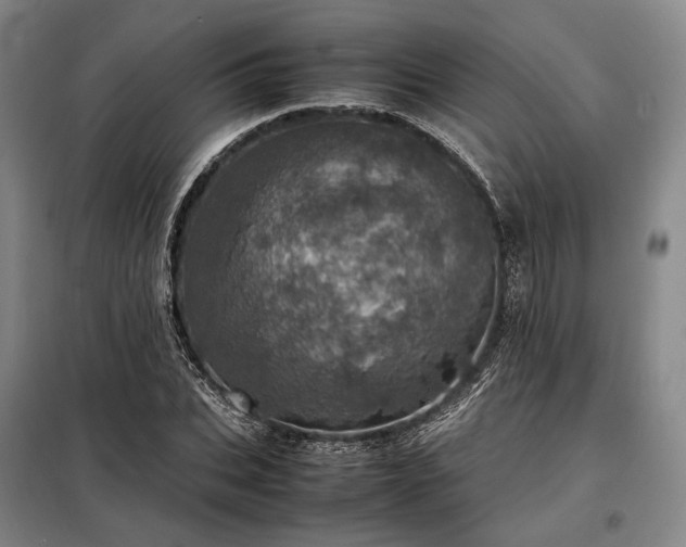 X0000098220927200805011230