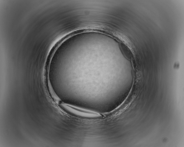 X0000098220928200805011230