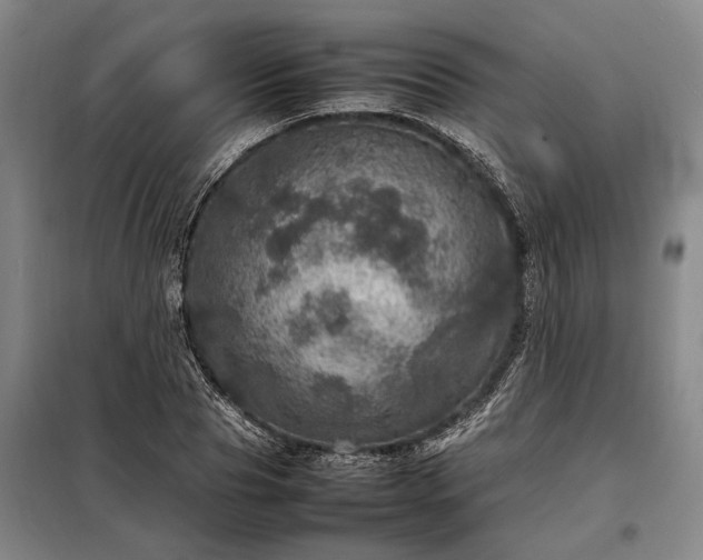 X0000098220929200805011230