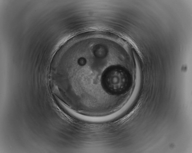 X0000098220930200805011230