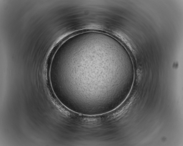 X0000098220931200805011230