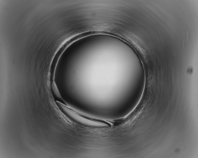 X0000098220932200805011231