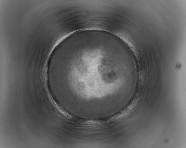 X0000098220933200805011231