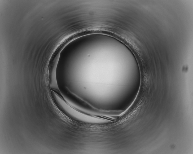 X0000098220934200805011231