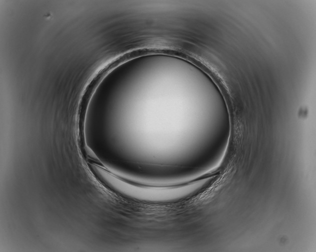 X0000098220935200805011231