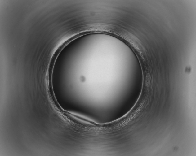 X0000098220936200805011231