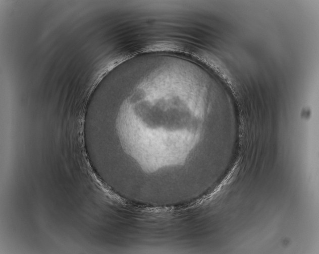 X0000098220937200805011231