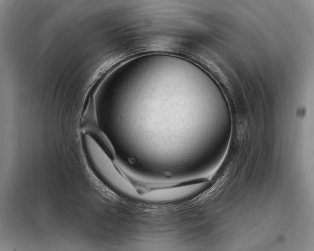 X0000098220938200805011231