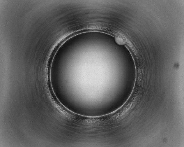 X0000098220939200805011231