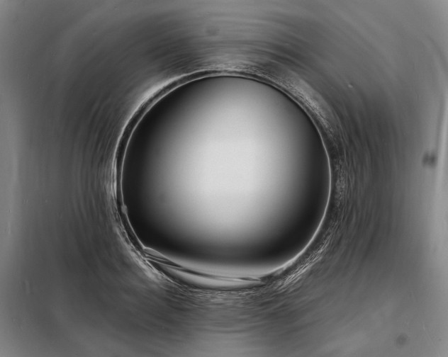 X0000098220940200805011231