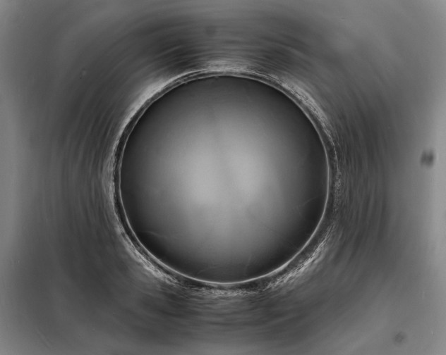 X0000098220941200805011231