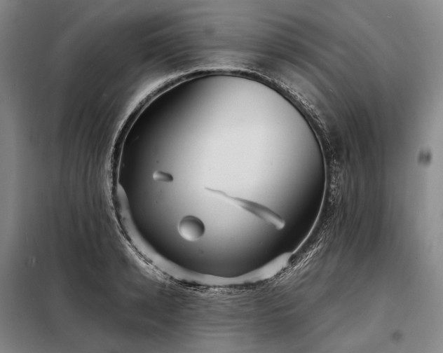 X0000098220942200805011231