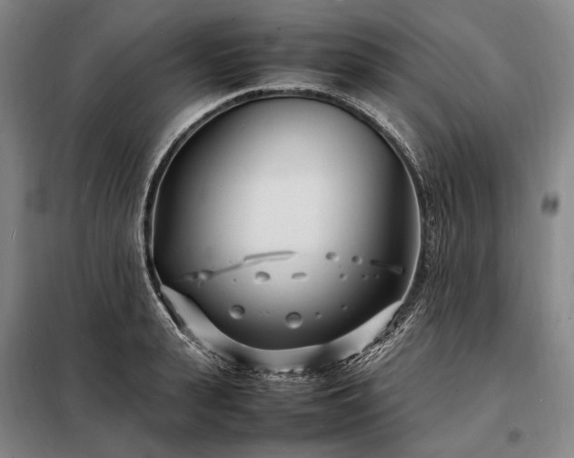 X0000098220943200805011231