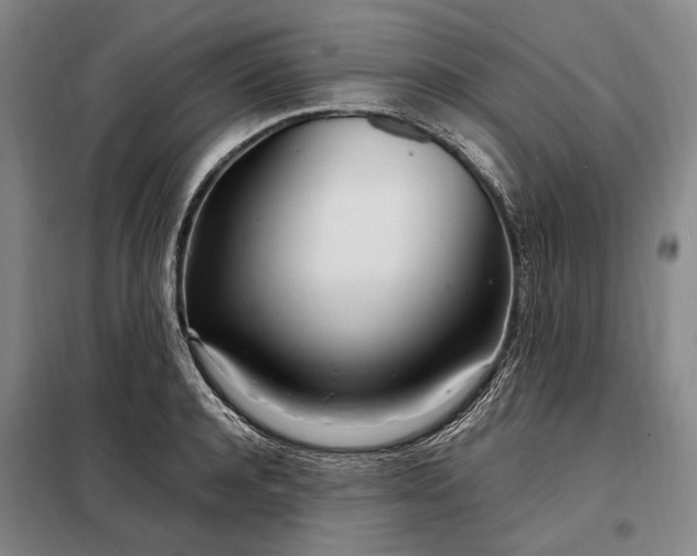 X0000098220944200805011231