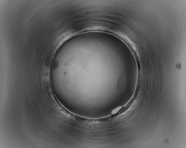 X0000098220945200805011231