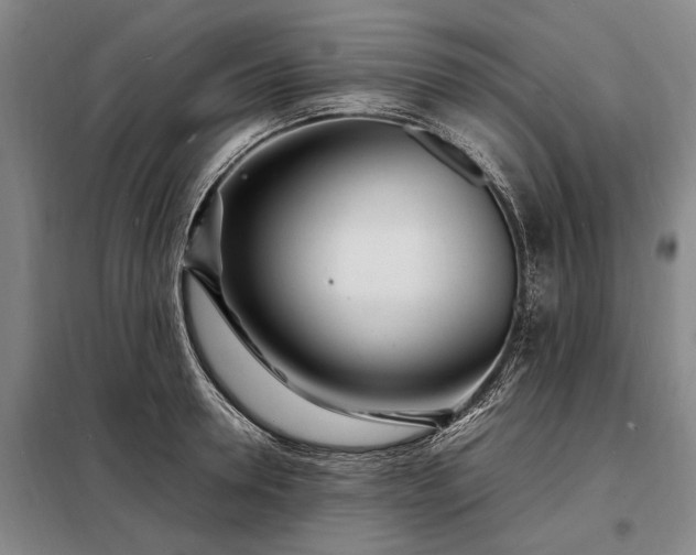 X0000098220946200805011231