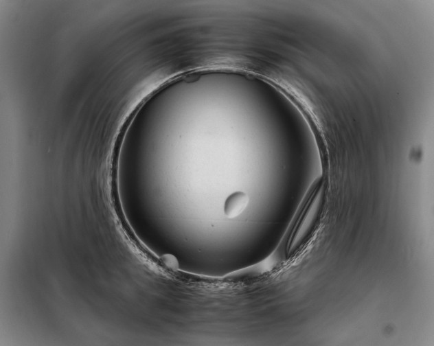 X0000098220949200805011231