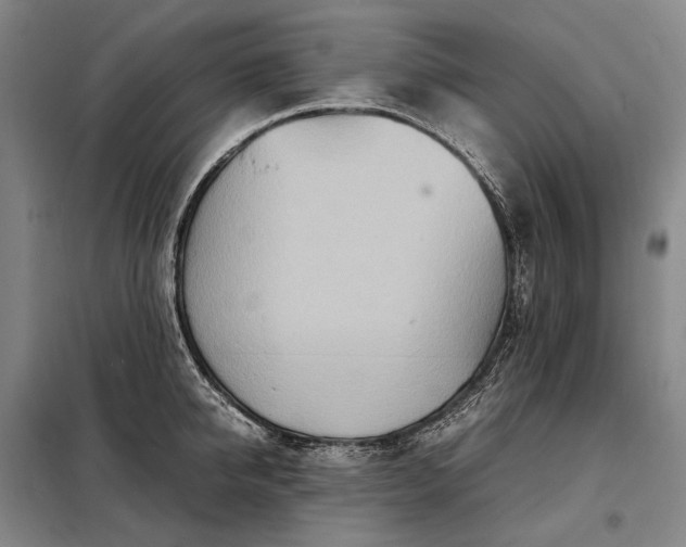 X0000098220950200805011231