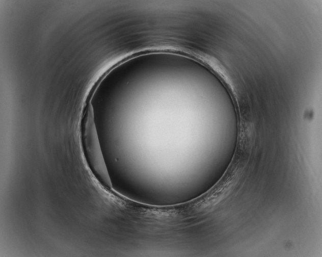 X0000098220951200805011231