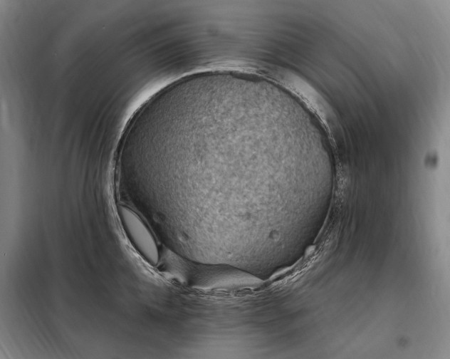 X0000098220952200805011231